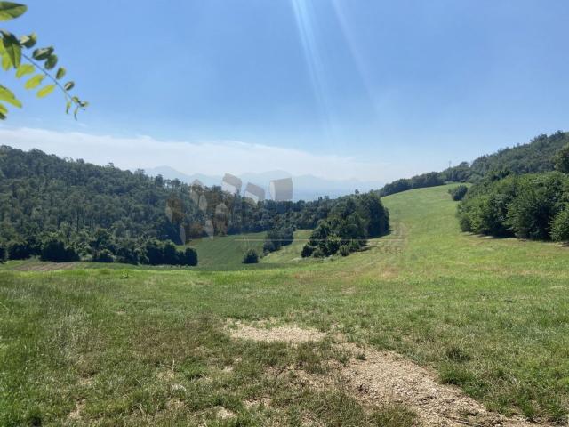 Terreno in vendita di 397786 m²