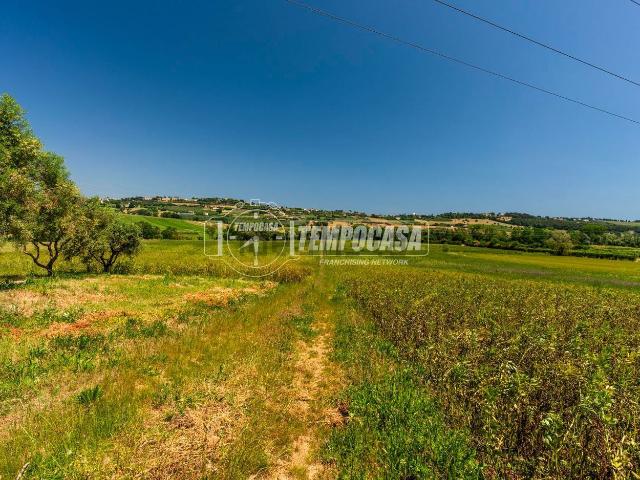 Terreno in vendita di 39999 m² in Contrada San Savino