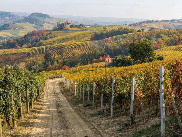 Terreno in vendita di 39000 m²