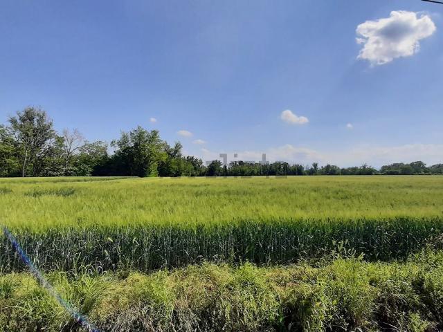 Terreno in vendita di 39000 m²