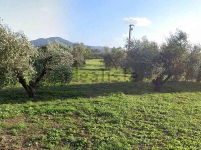 Terreno in vendita di 3906 m² in Via Isola di Capraia