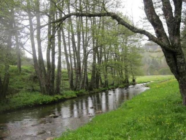 Terreno in vendita di 39170 m² in Strada Statale 108bis