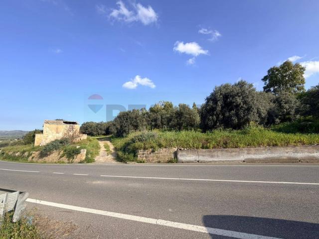 Terreno in vendita di 39170 m² in Strada Provinciale 31