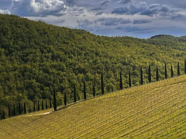 Terreno in vendita di 40677 m² in Via dell&apos Arbia
