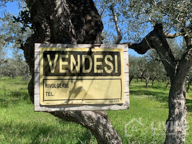 Terreno in vendita di 4070 m² in Contrada Paterno