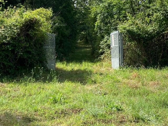 Terreno in vendita di 400000 m²