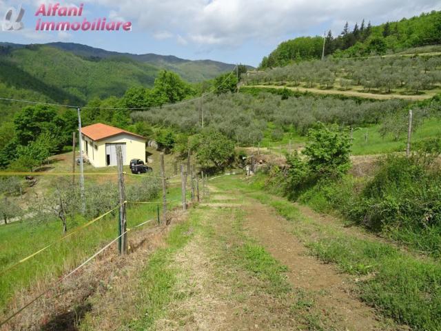 Terreno in vendita di 400000 m²
