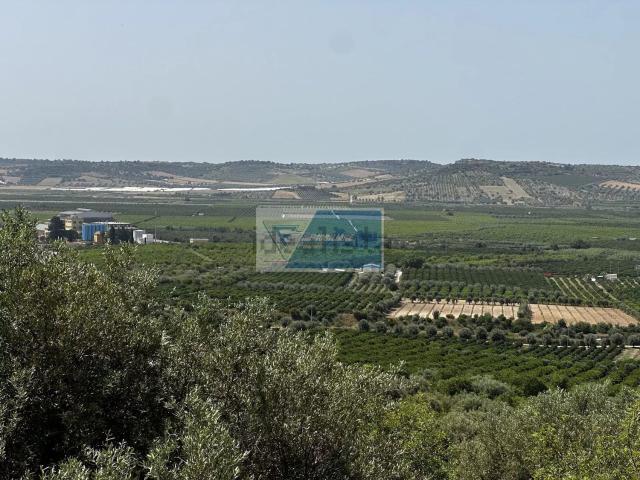 Terreno in vendita di 40000 m²