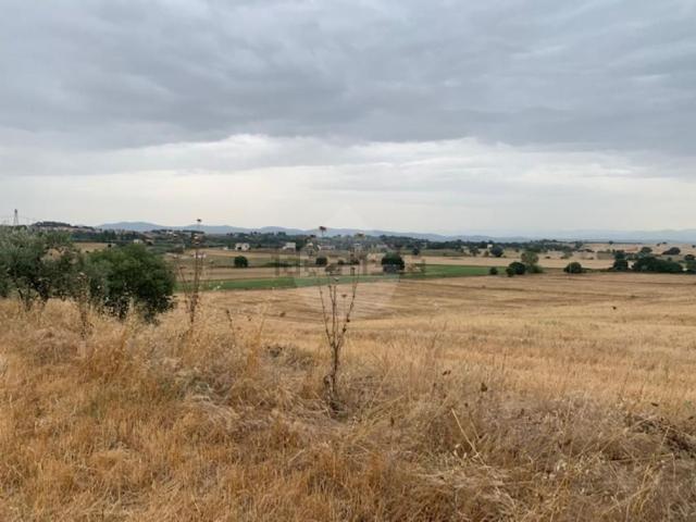 Terreno in vendita di 40000 m²