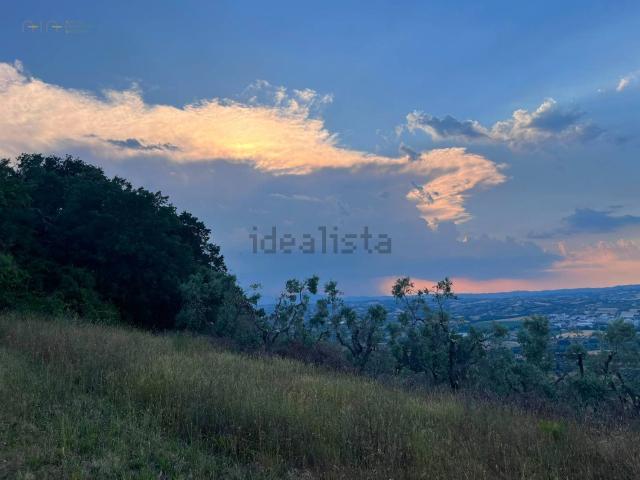 Terreno in vendita di 40000 m² in Via dell&apos Acquedotto