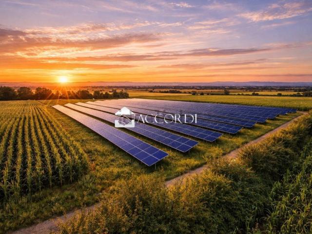 Terreno in vendita di 40000 m² in Via San Pietro