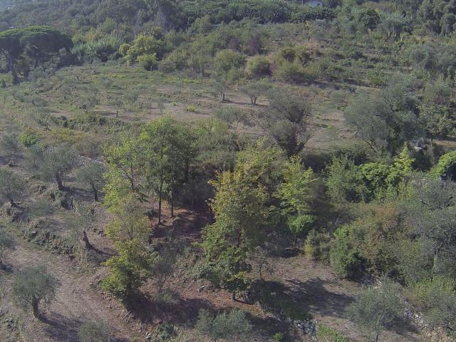 Terreno in vendita di 40000 m² in Via Poggi