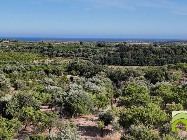 Terreno in vendita di 40000 m² in Contrada Gioi