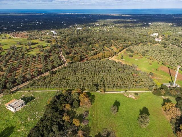 Terreno in vendita di 40000 m² in Contrada Morandi