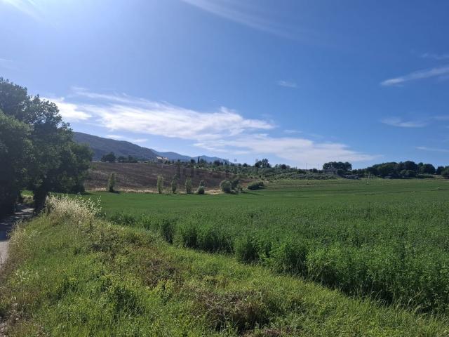 Terreno in vendita di 40000 m² in Località Sambucetole