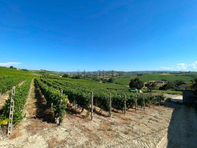 Terreno in vendita di 40000 m² in Strada Comunale Garera