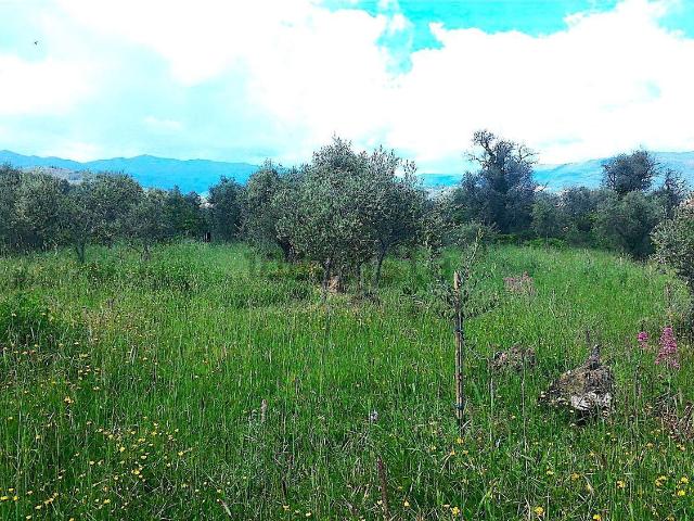 Terreno in vendita di 40000 m² in Strada Comunale Poggi