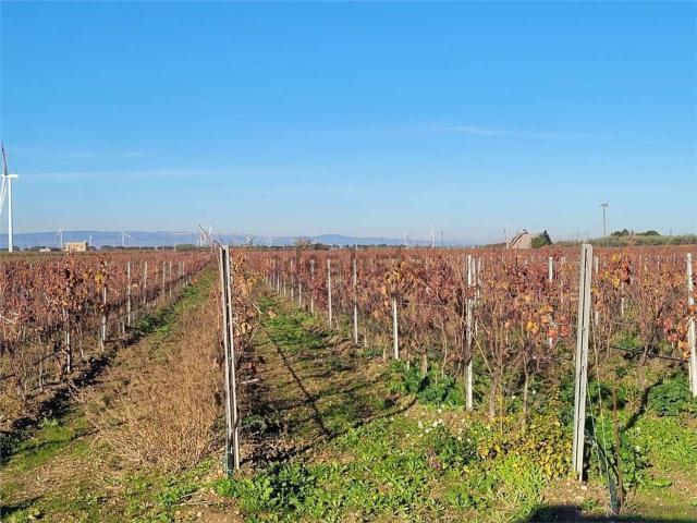 Terreno in vendita di 40000 m² in Strada Provinciale 68