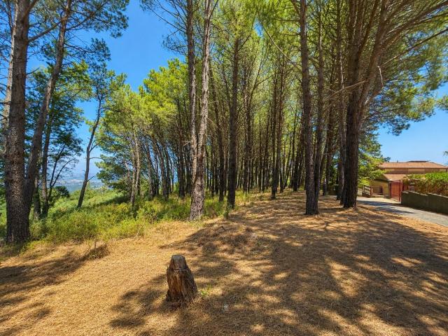 Terreno in vendita di 4000 m² in Contrada Piana dei Venti, 35