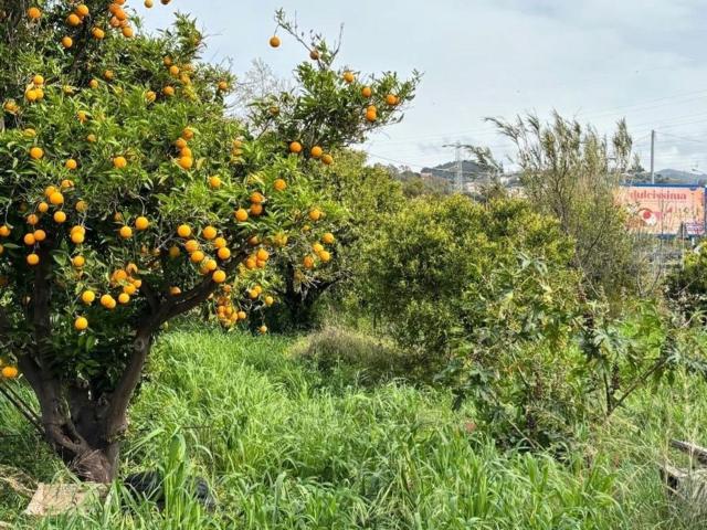 Terreno in vendita di 4000 m² in Contrada San Filippo