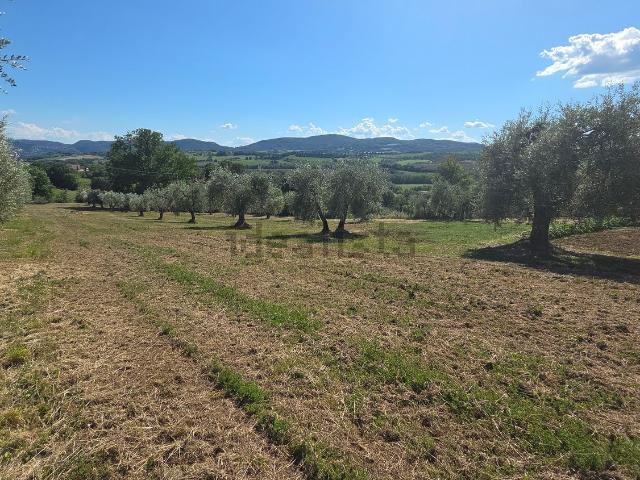Terreno in vendita di 4000 m² in Località Quadrelletto