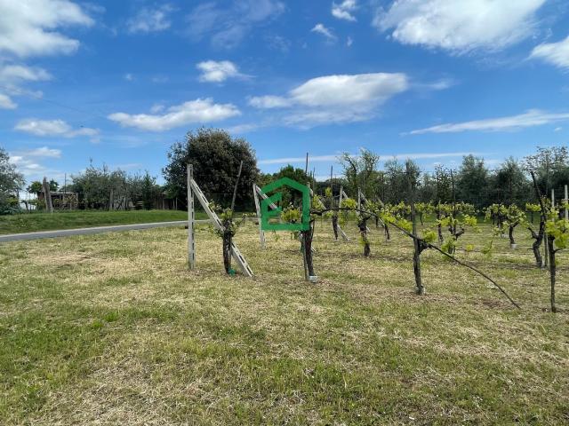 Terreno in vendita di 4000 m² in Strada Della Selve