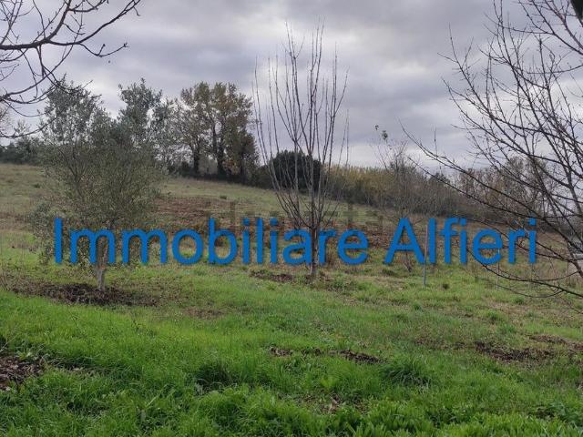 Terreno in vendita di 4000 m² in Via Torre Alfieri, 5