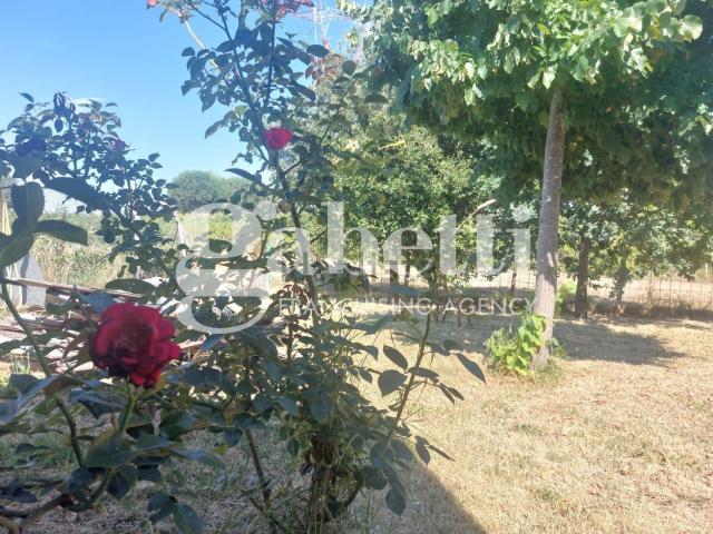 Terreno in vendita di 4000 m² in Via Aiaccia, 64
