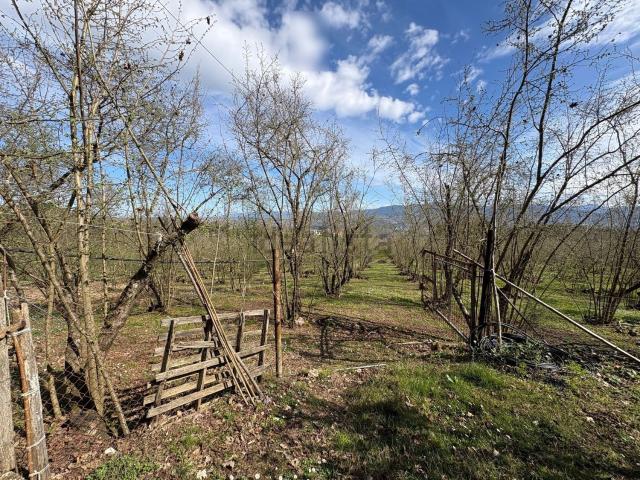 Terreno in vendita di 4000 m² in Via Capitonese