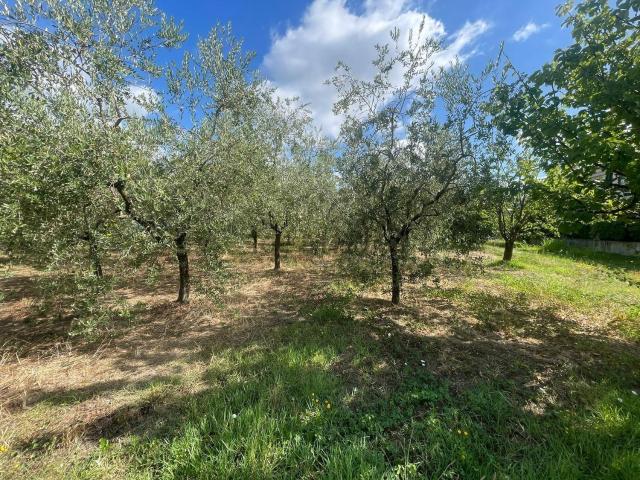 Terreno in vendita di 4000 m² in Via Padre Giovanni Antonelli