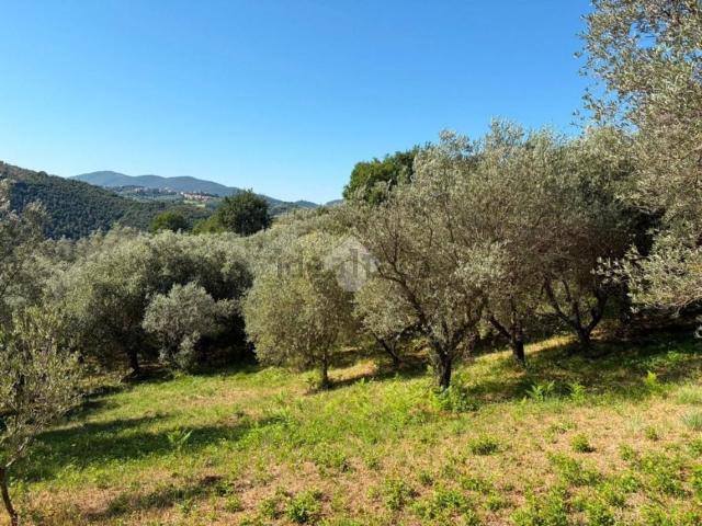 Terreno in vendita di 4000 m² in Via Rocca