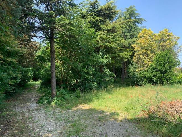 Terreno in vendita di 4000 m²