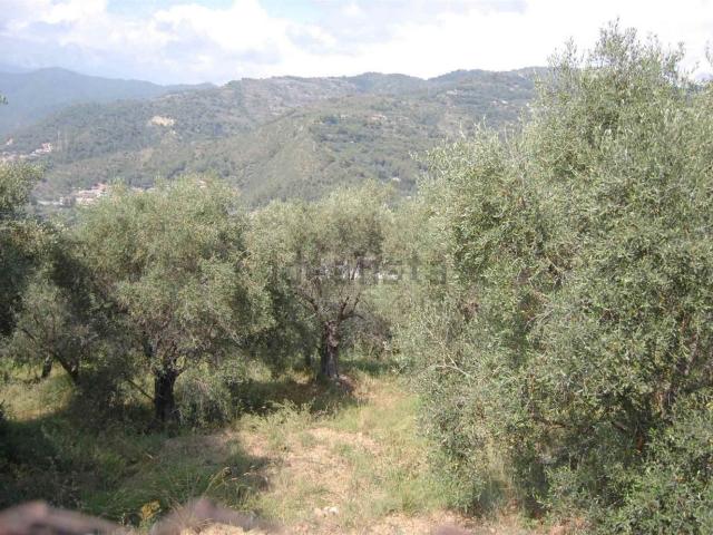 Terreno in vendita di 4000 m²