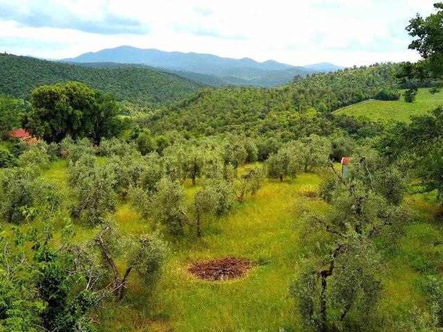 Terreno in vendita di 4000 m²