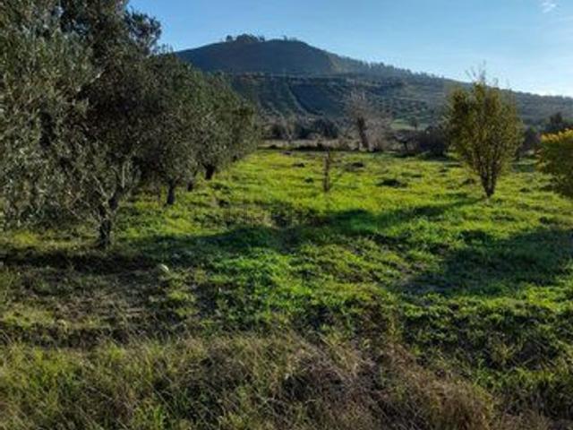 Terreno in vendita di 4001 m² in Via passarello