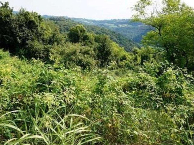 Terreno in vendita di 40247 m² in Via Contra Giuriati