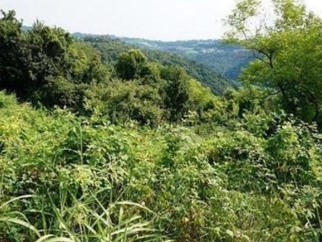 Terreno in vendita di 40247 m² in Via Tovazzi, 31