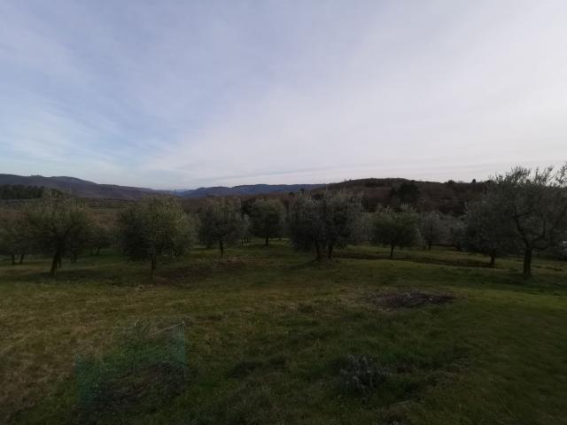 Terreno in vendita di 40 m²