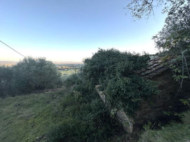 Terreno in vendita di 41500 m² in Strada vicinale val di campo