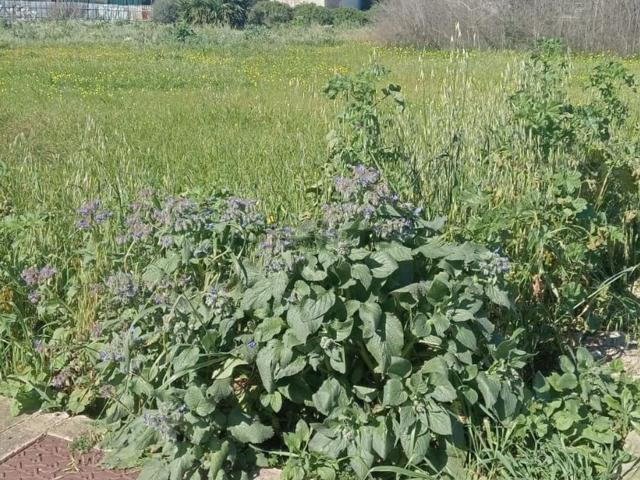 Terreno in vendita di 415 m² in Via Zinnibiri