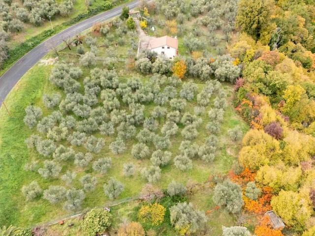 Terreno in vendita di 4160 m² in Via Casale