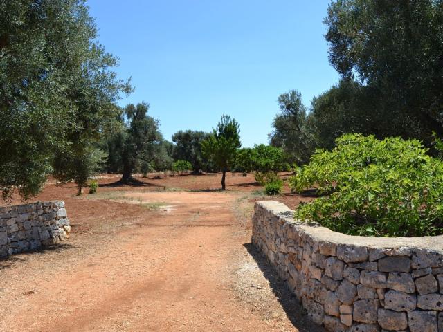 Terreno in vendita di 4166 m² in Contrada Arrighi