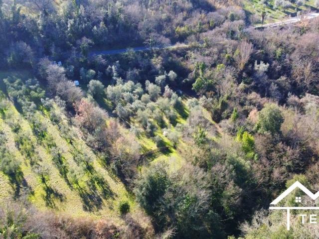 Terreno in vendita di 4180 m² in Strada Provinciale 48