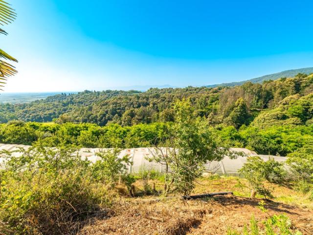 Terreno in vendita di 41991 m² in Via Creusa, 67