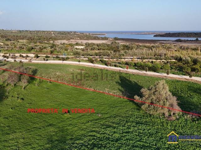 Terreno in vendita di 41000 m² in Strada Provinciale 19