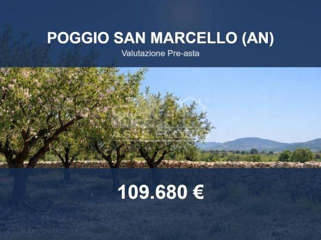 Terreno in vendita di 41015 m² in Contrada Gioncare