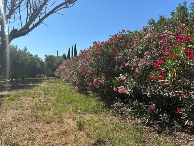 Terreno in vendita di 4125 m² in Località Bandita