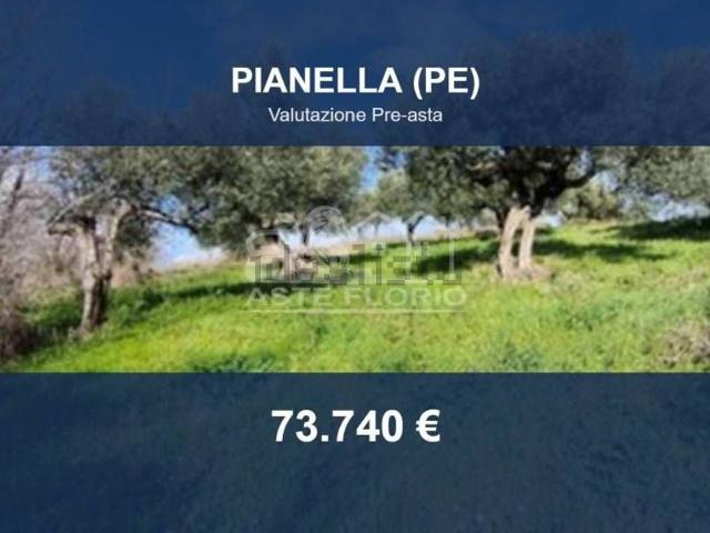 Terreno in vendita di 41362 m² in Contrada Vallerio