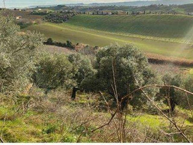 Terreno in vendita di 41362 m² in Contrada Vallerio