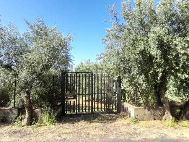 Terreno in vendita di 4275 m² in Strada Iazzo Vecchio